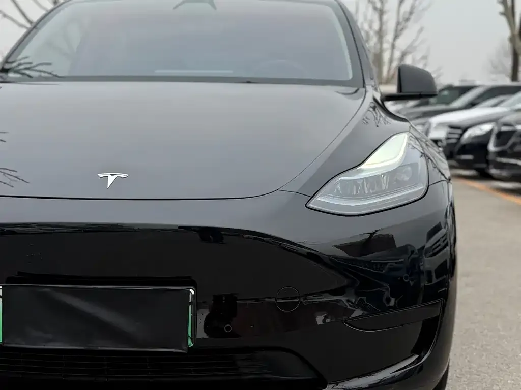 Tesla Model Y 2023 из CN, фото 2