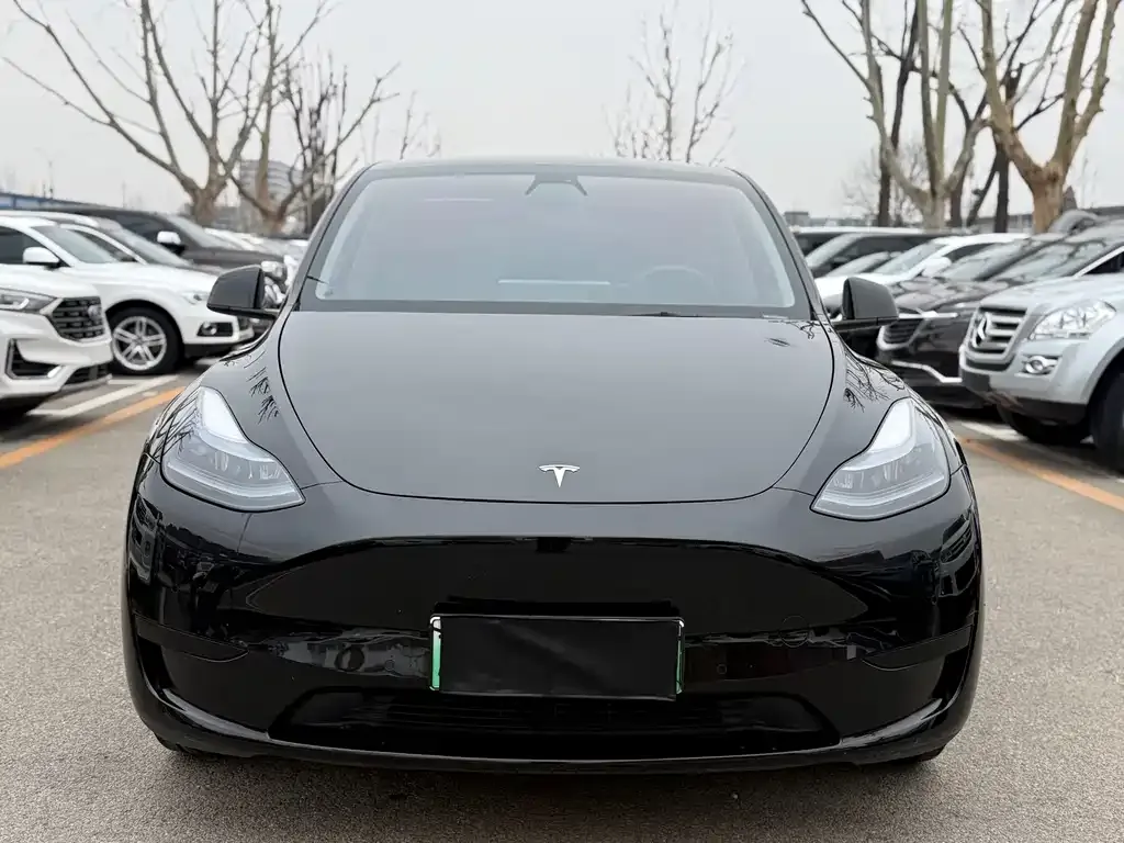 Tesla Model Y 2023 из CN, фото 3