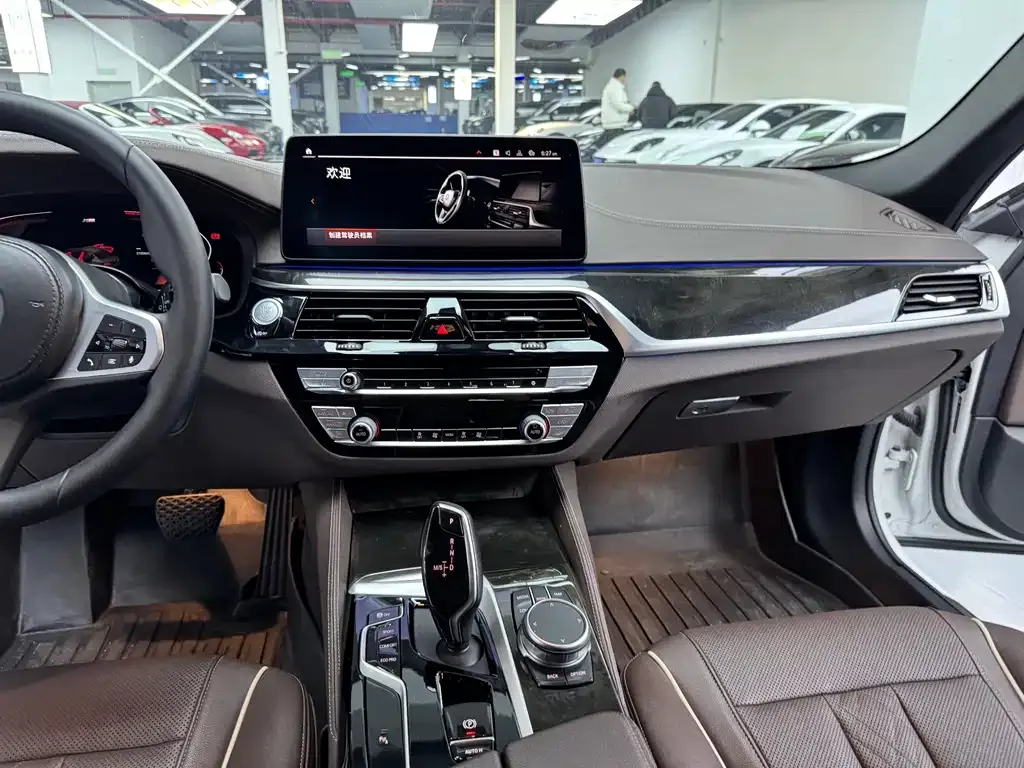 BMW 5 Series 2021 из CN, фото 3