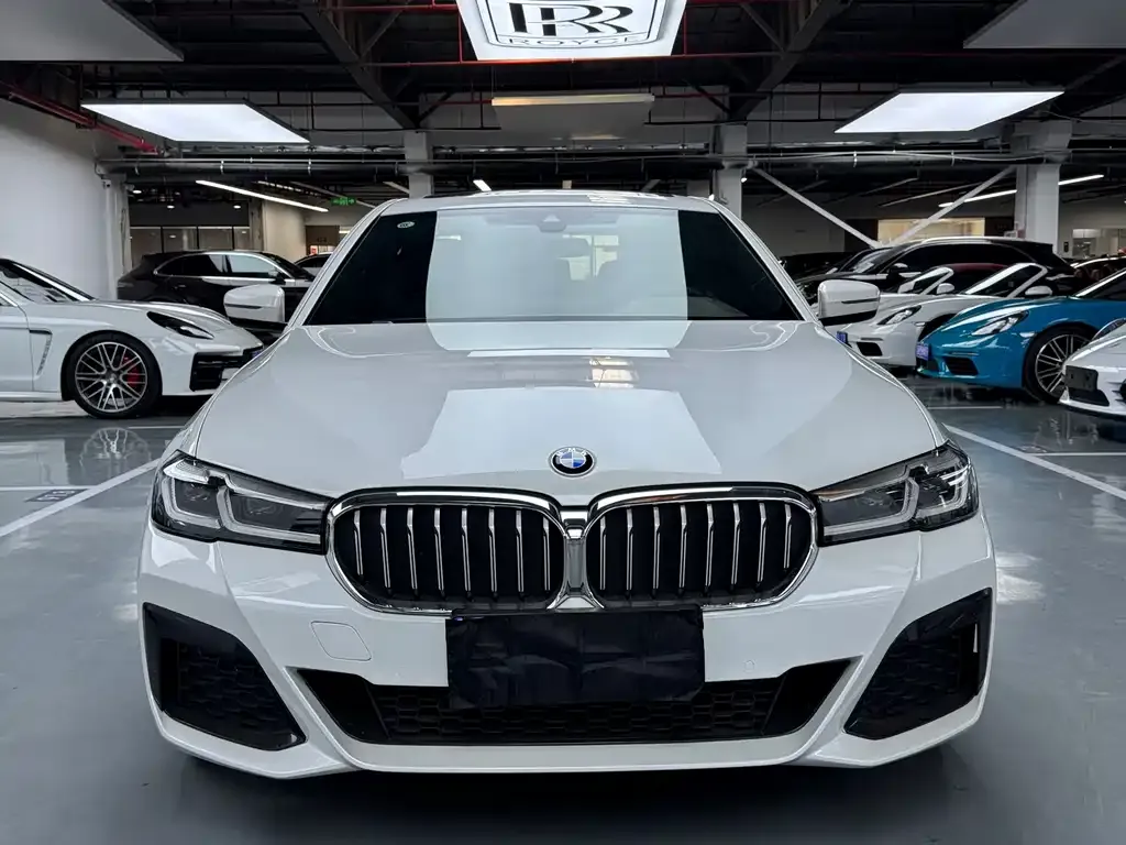 BMW 5 Series 2021 из CN, фото 2