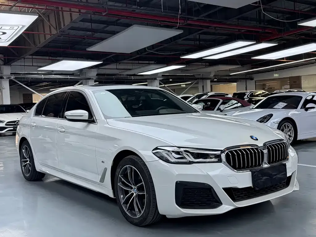 BMW 5 Series 2021 из CN, фото 6