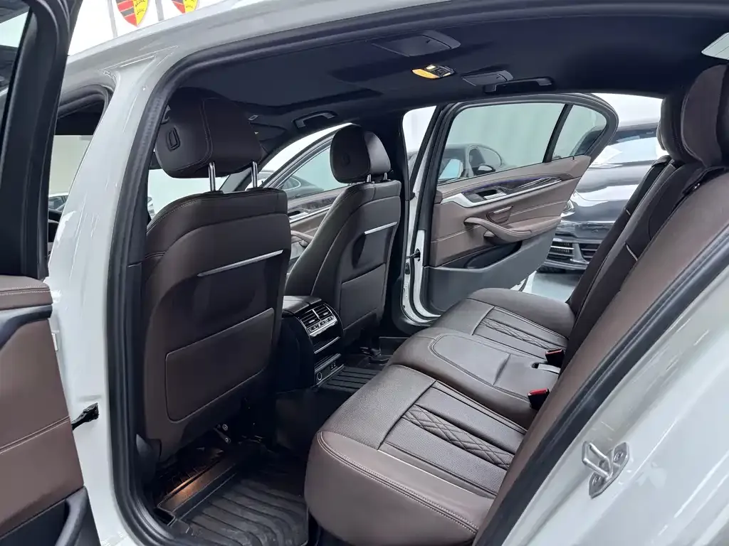 BMW 5 Series 2021 из CN, фото 8