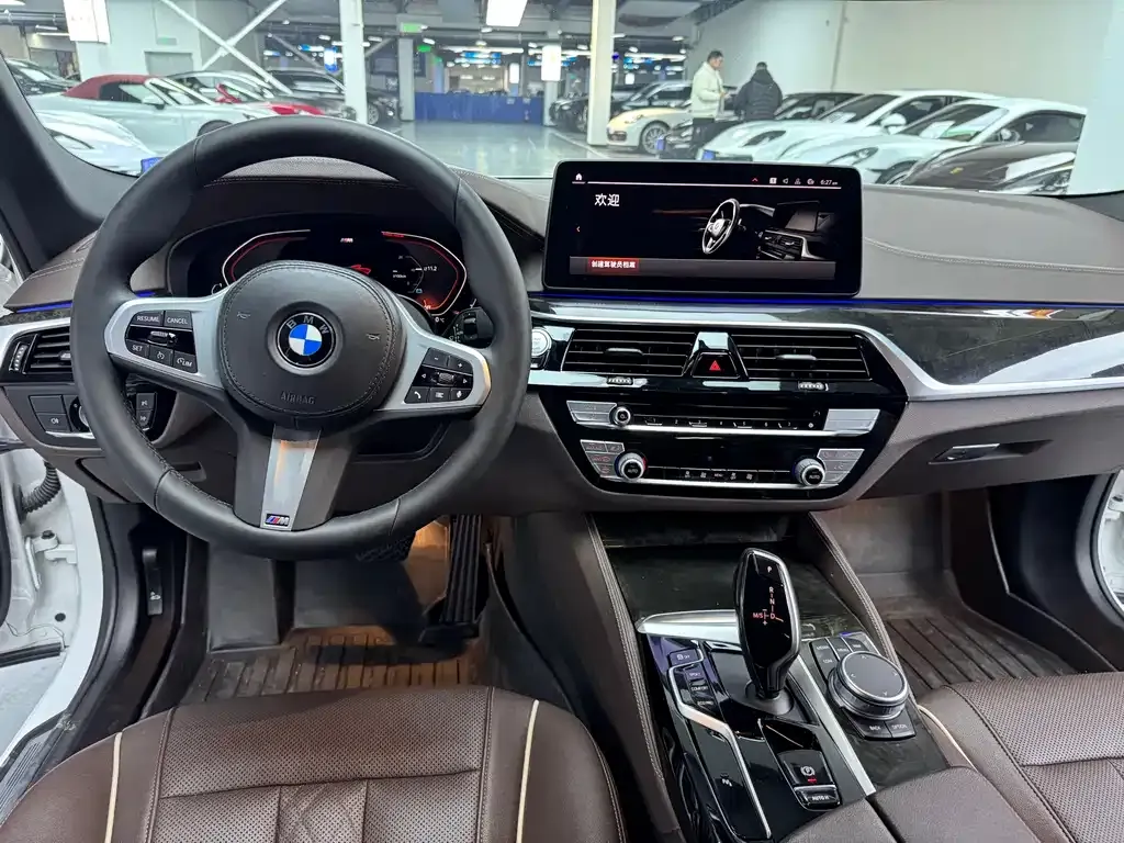 BMW 5 Series 2021 из CN, фото 9