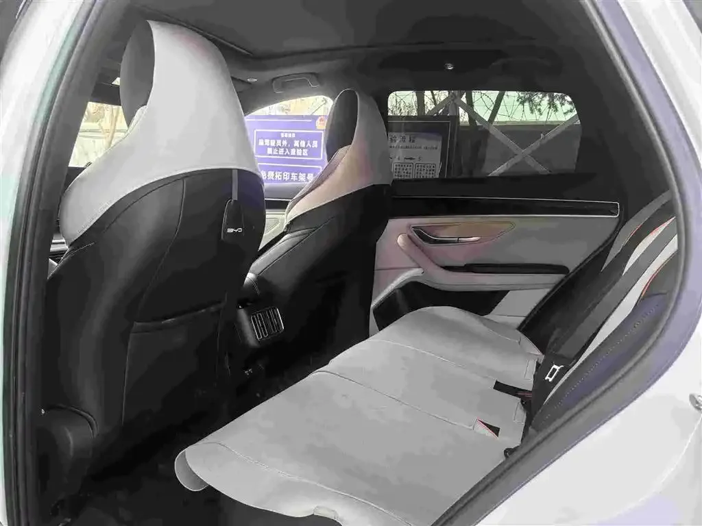 BYD PLUS New Energy 2023 из CN, фото 2