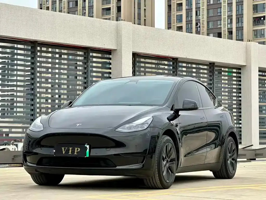 Tesla Model Y — фото 1