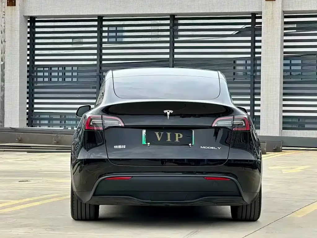 Tesla Model Y — фото 8