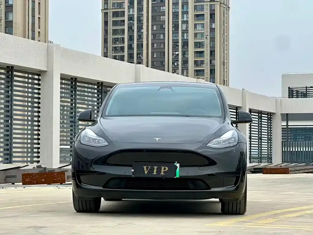 Tesla Model Y — фото 9