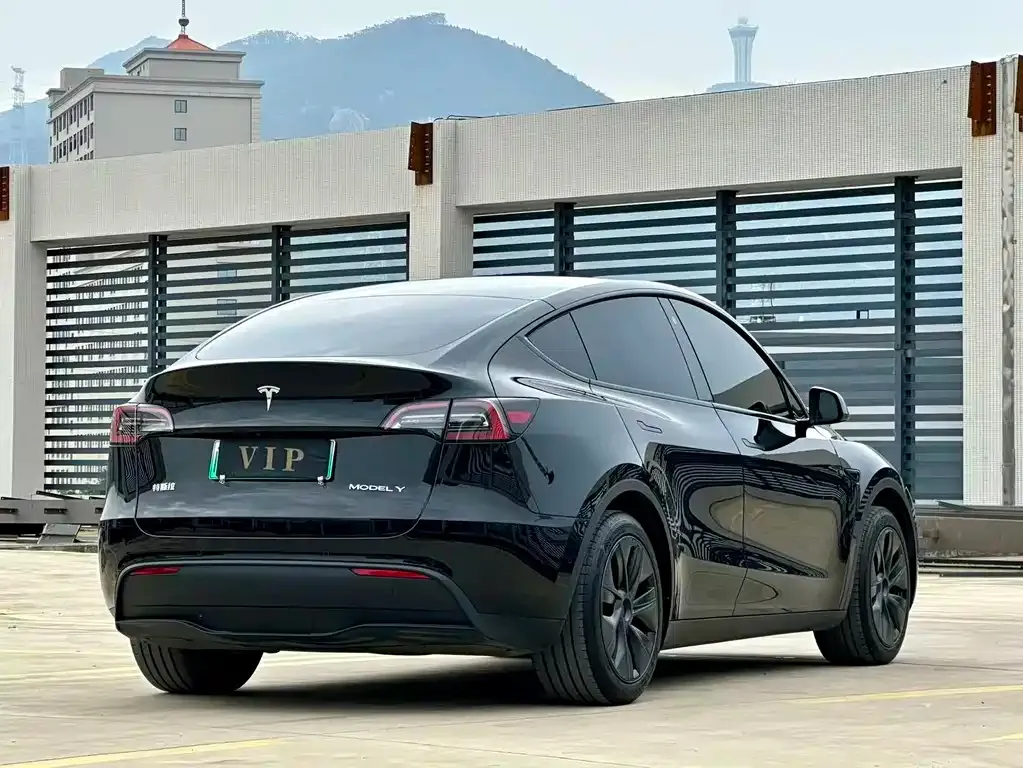 Tesla Model Y — фото 6