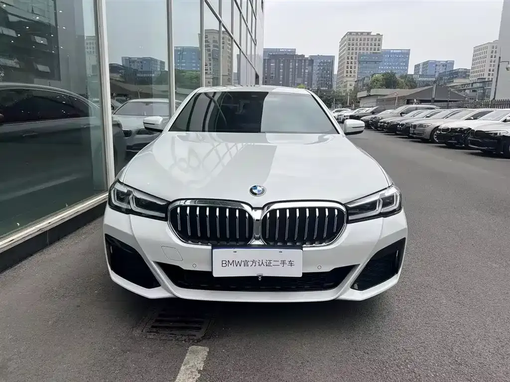 BMW 5 Series 2023 из CN, фото 7
