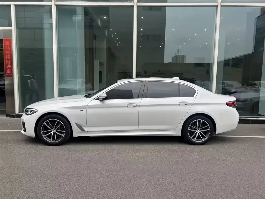 BMW 5 Series 2023 из CN, фото 6