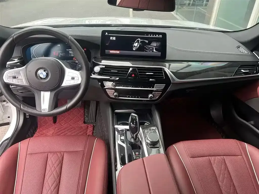 BMW 5 Series 2023 из CN, фото 5