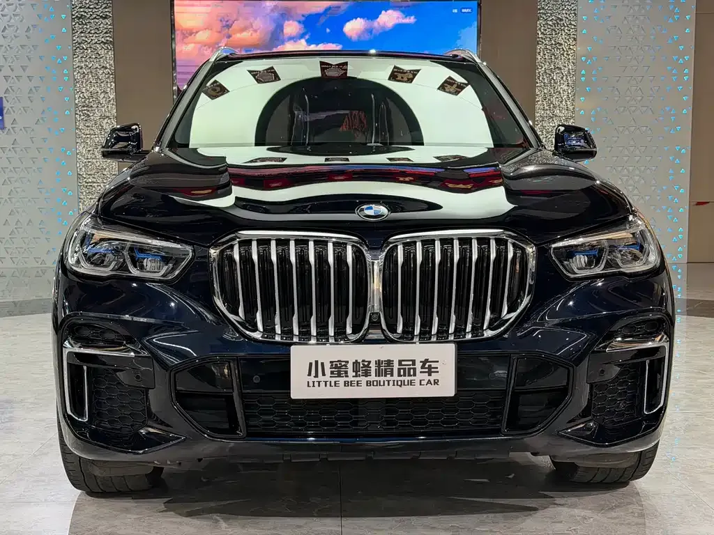 BMW X5 — фото 10