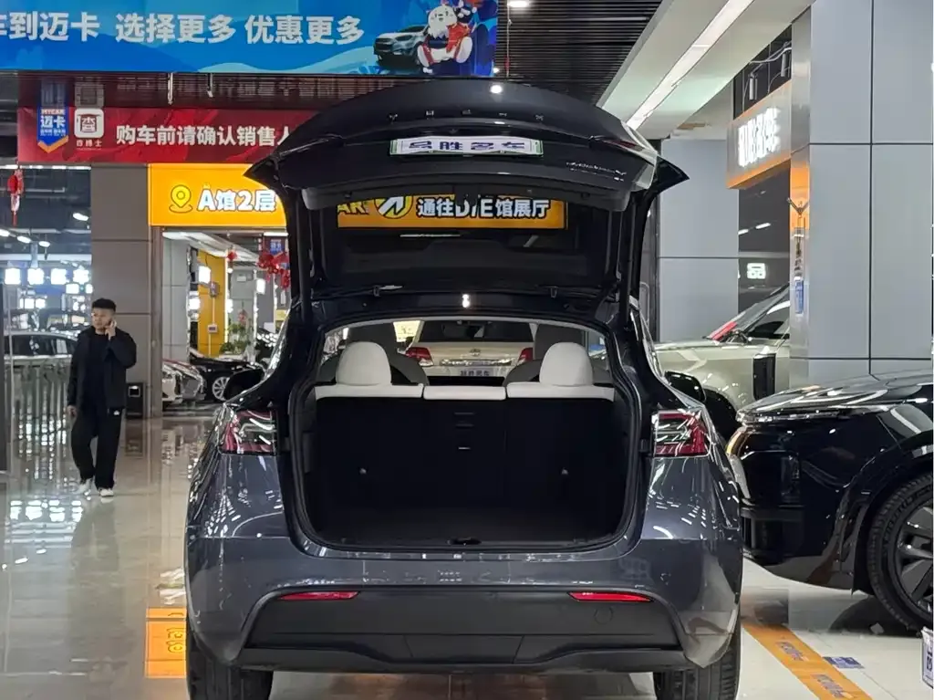 Tesla Model Y — фото 2