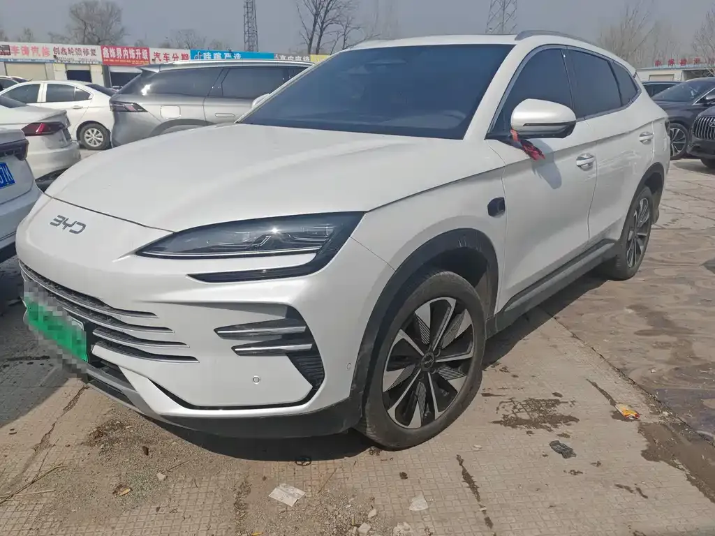 BYD PLUS New Energy — фото 1