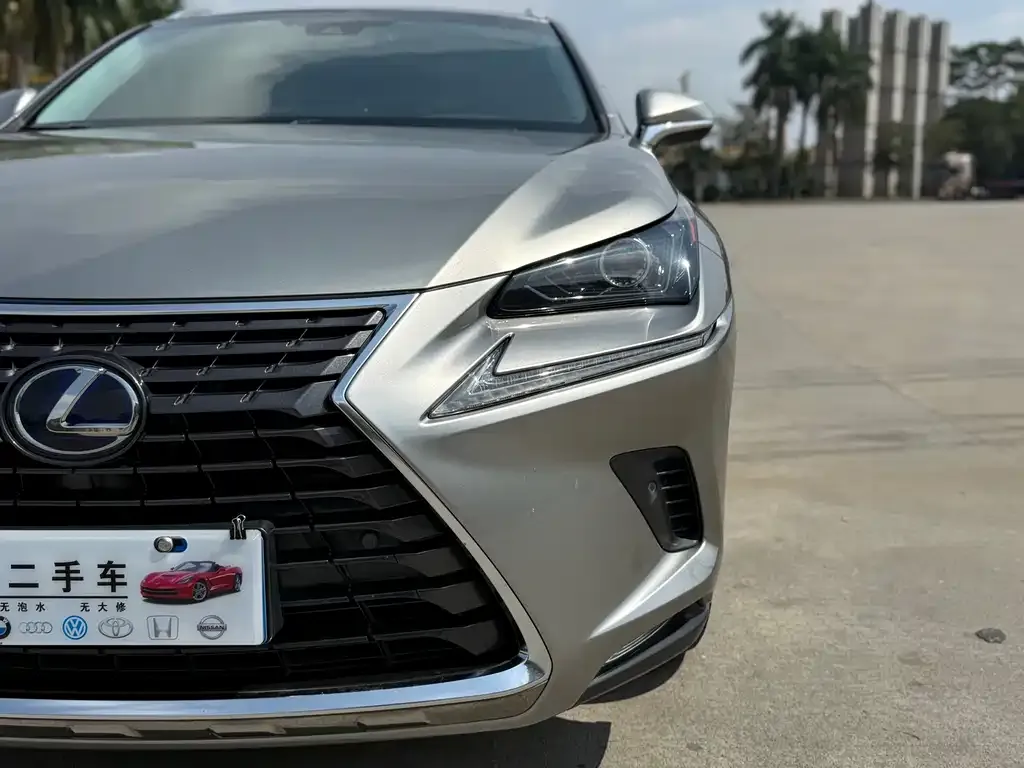 Lexus NX 2021 из CN, фото 2
