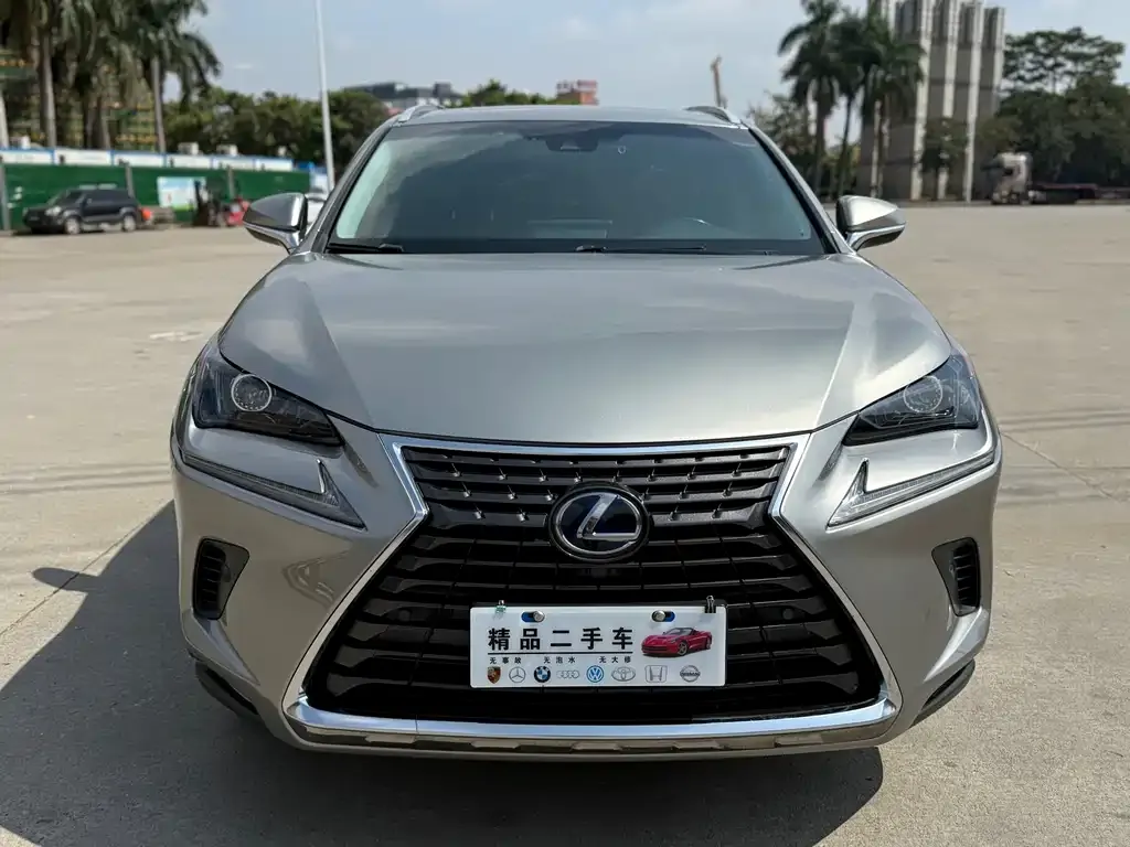 Lexus NX 2021 из CN, фото 9