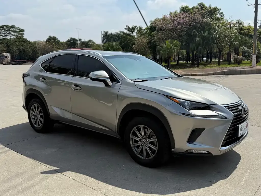 Lexus NX 2021 из CN, фото 6