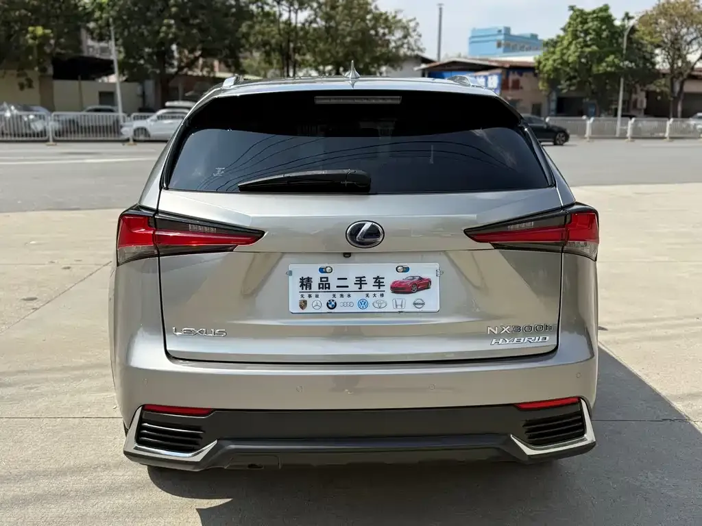 Lexus NX 2021 из CN, фото 4