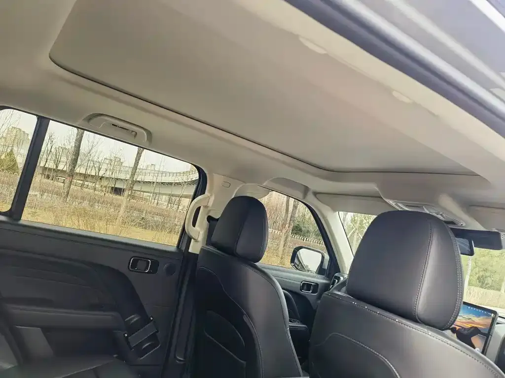 Haval Menglong New Energy 2024 из CN, фото 5