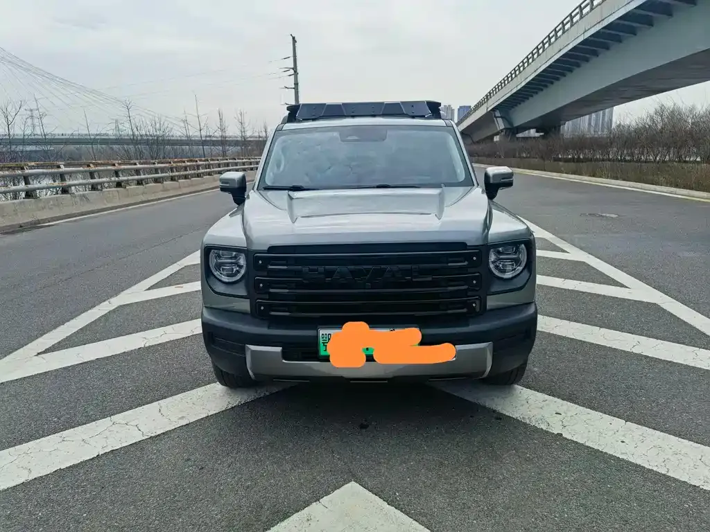 Haval Menglong New Energy 2024 из CN, фото 3