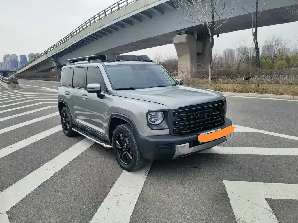 Haval Menglong New Energy 2024 из CN, фото 4