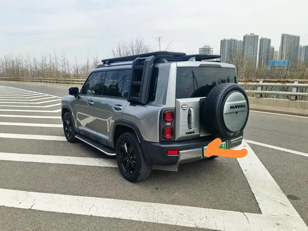 Haval Menglong New Energy 2024 из CN, фото 9