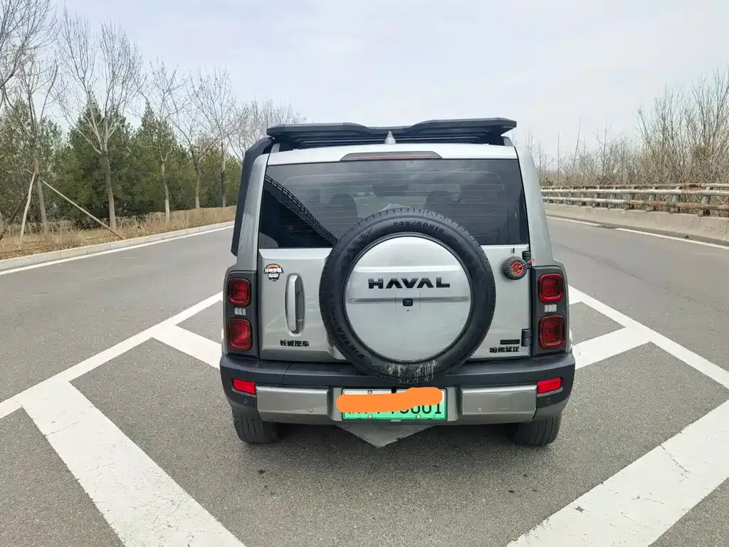 Haval Menglong New Energy 2024 из CN, фото 10