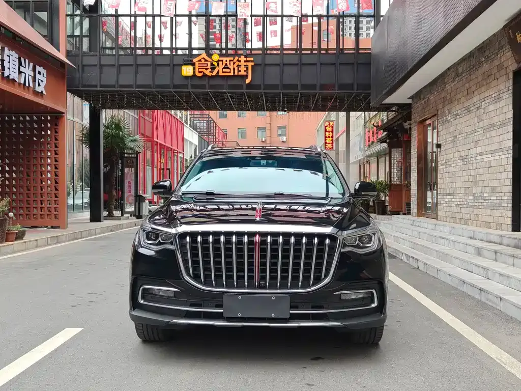 Hongqi HS7 2023 из CN, фото 9