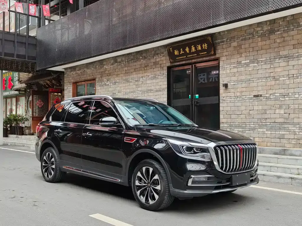 Hongqi HS7 2023 из CN, фото 10