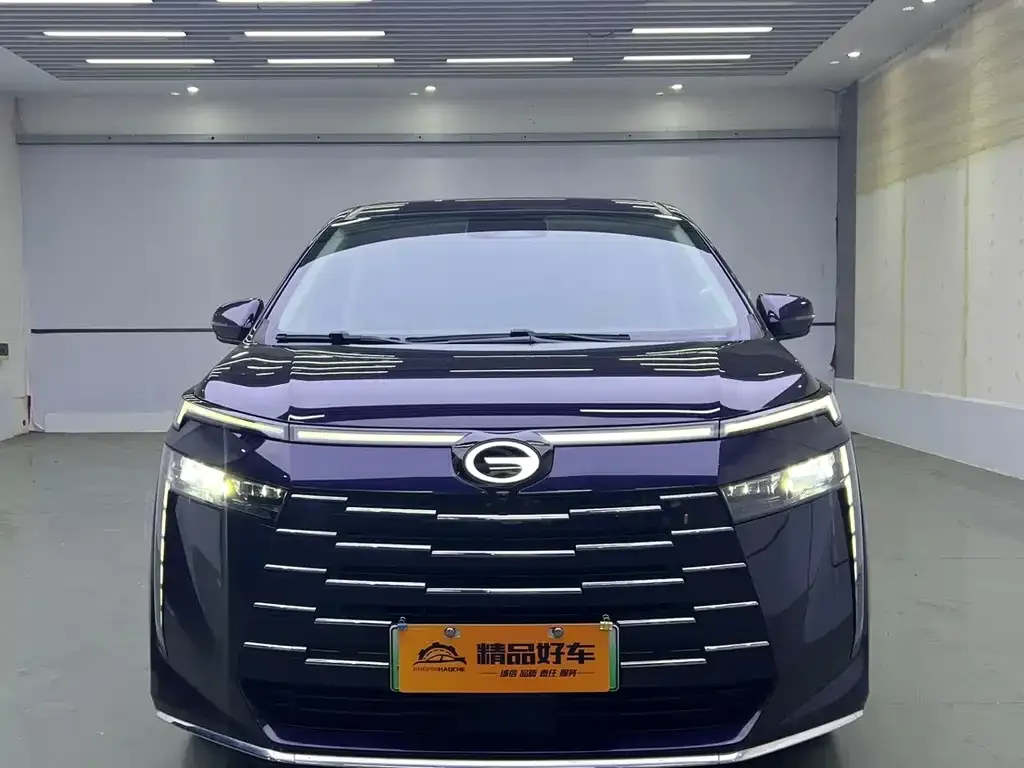 GAC Motor E8 Hybrid 2024 из CN, фото 4