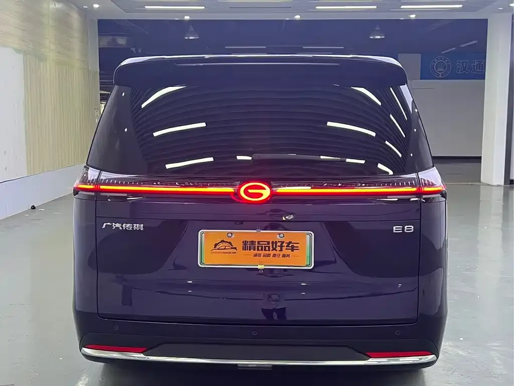 GAC Motor E8 Hybrid 2024 из CN, фото 2