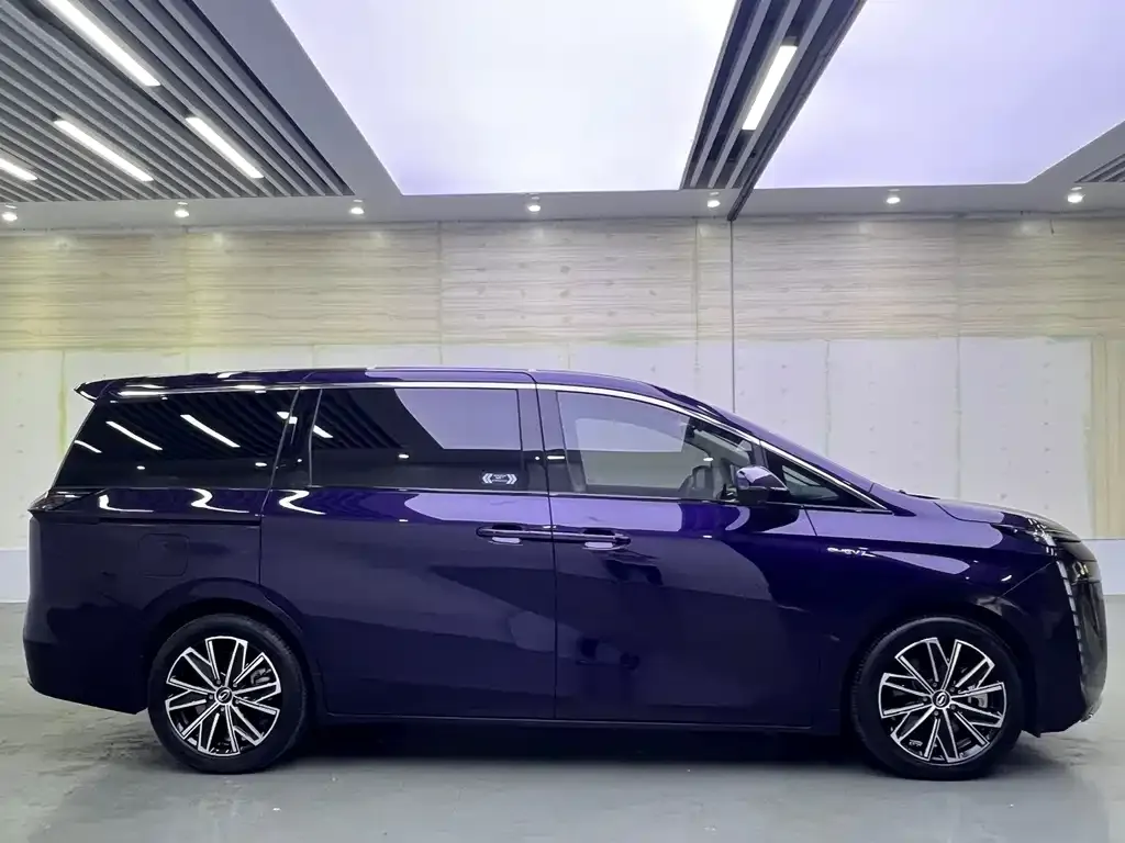 GAC Motor E8 Hybrid 2024 из CN, фото 6
