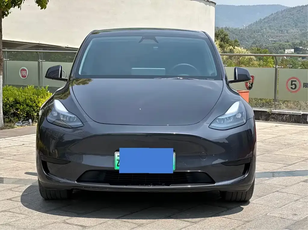 Tesla Model Y 2024 из CN, фото 3
