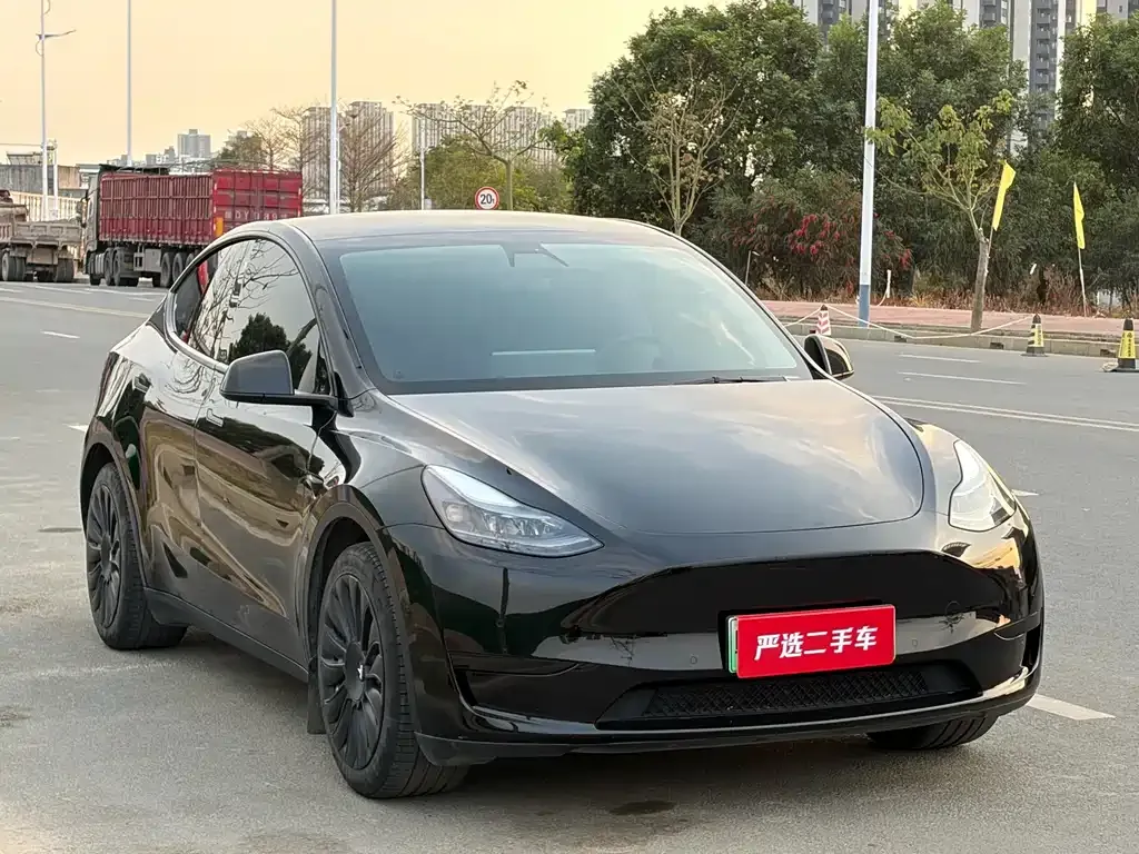 Tesla Model Y 2022 из CN, фото 9