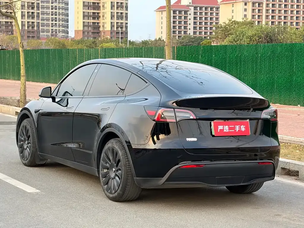 Tesla Model Y 2022 из CN, фото 5