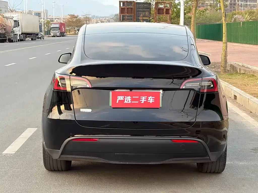 Tesla Model Y 2022 из CN, фото 6