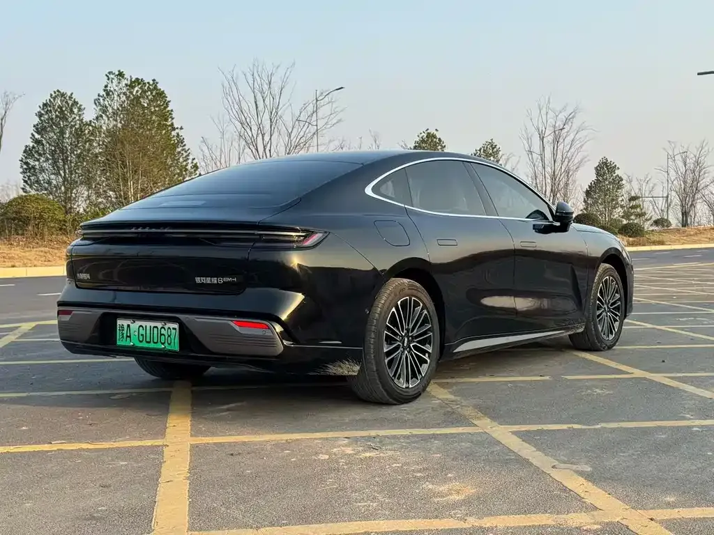 Geely Galaxy Xingyao 8 2025 из CN, фото 8