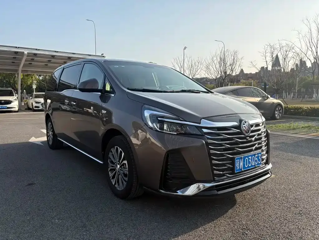 Buick GL8 2023 из CN, фото 8