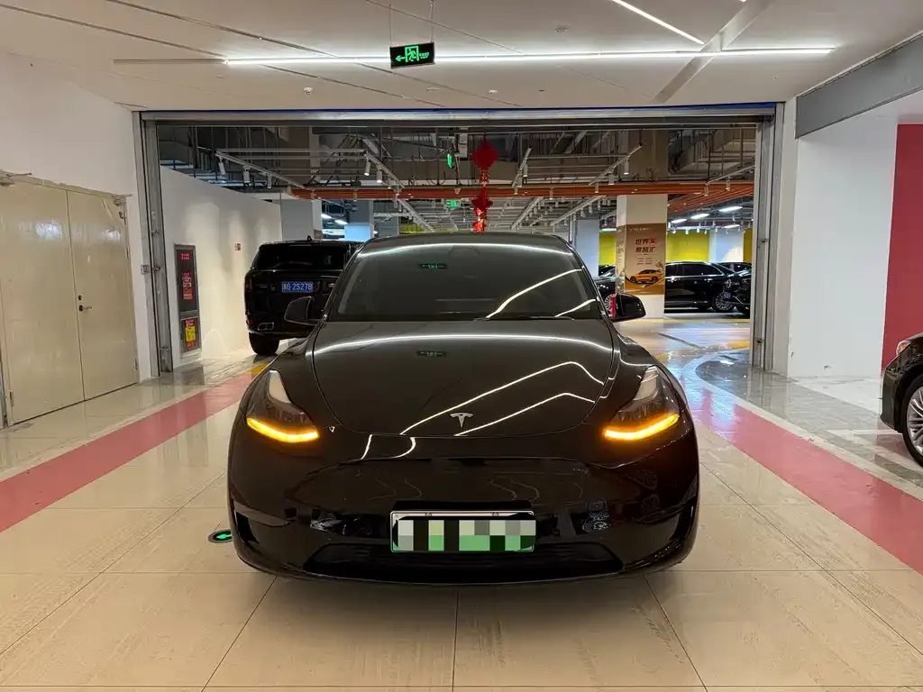 Tesla Model Y — фото 10