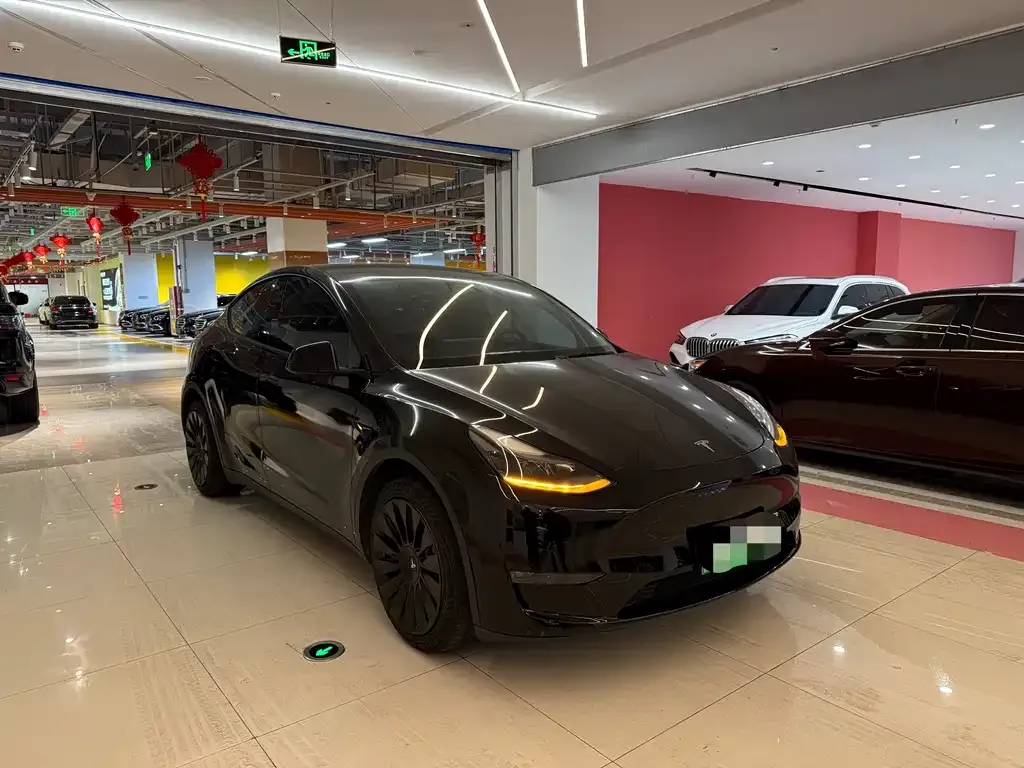 Tesla Model Y — фото 9