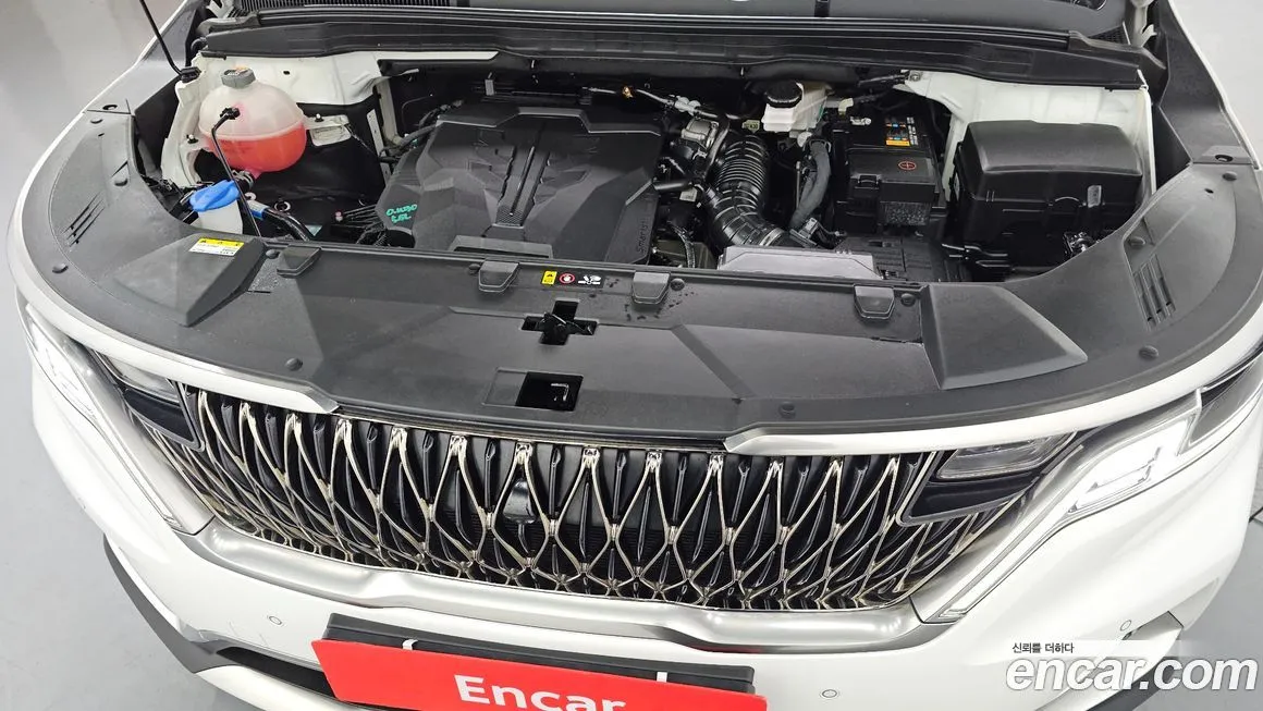 Kia Carnival — фото 10