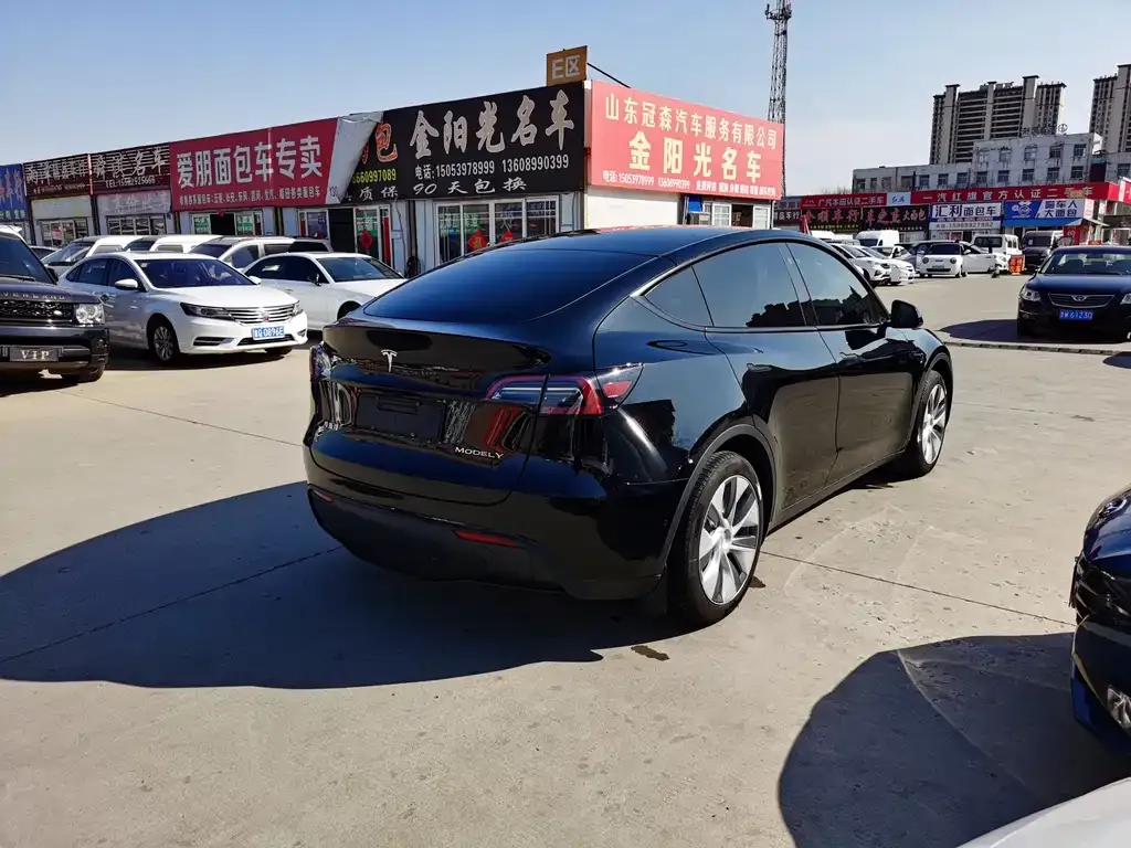 Tesla Model Y 2023 из CN, фото 5