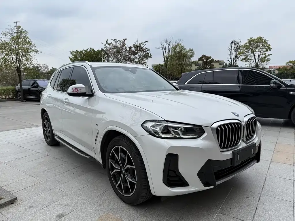 BMW X3 2023 из CN, фото 9