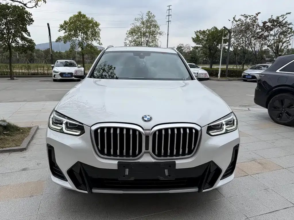 BMW X3 2023 из CN, фото 4