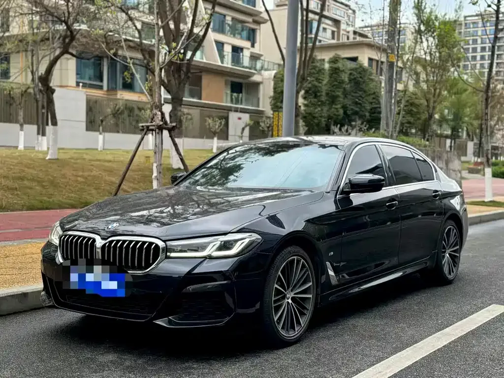 BMW 5 Series 2022 из CN, фото 1