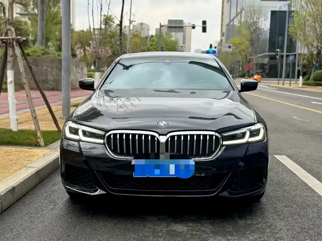 BMW 5 Series 2022 из CN, фото 9