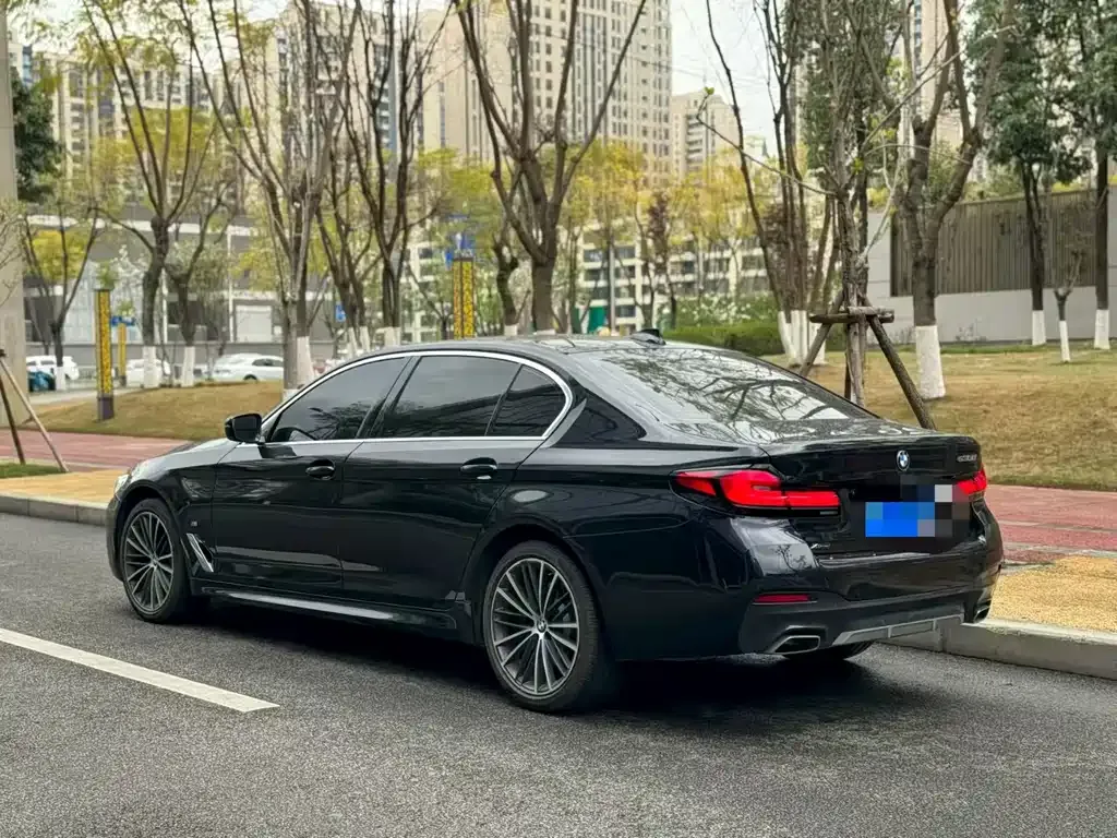 BMW 5 Series 2022 из CN, фото 7