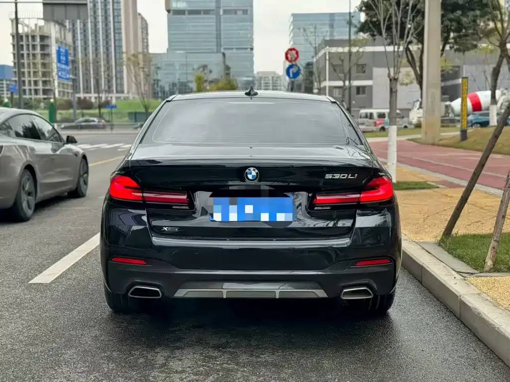 BMW 5 Series 2022 из CN, фото 4