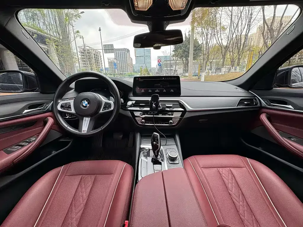 BMW 5 Series 2022 из CN, фото 6