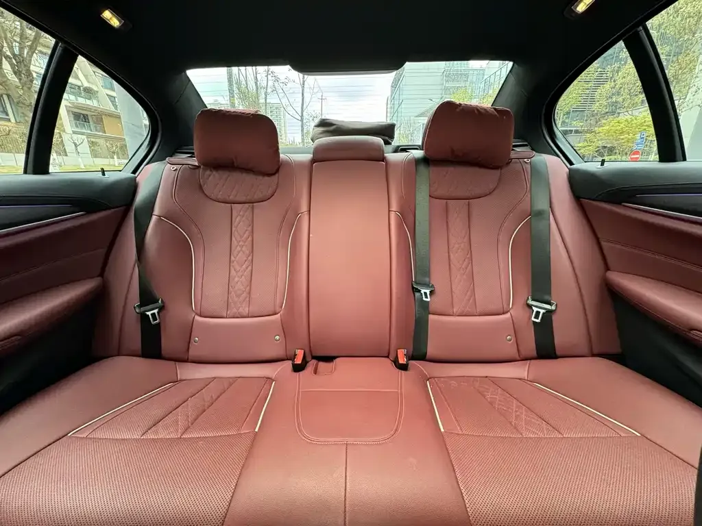 BMW 5 Series 2022 из CN, фото 5